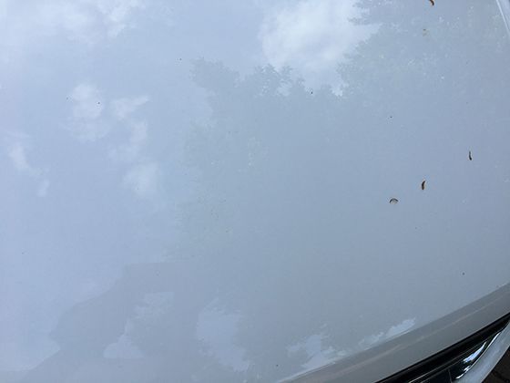 摇篮曲的全球共性：探寻不同文明中，母亲哼唱的旋律为何如此相似？