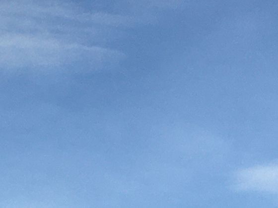 从雨后春笋到餐桌美食，探寻竹笋在饮食文化中的悠久历史。