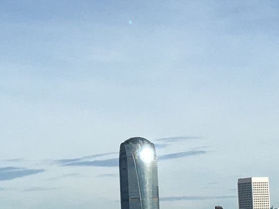 针形建筑的力学奇迹：现代摩天大楼如何借鉴自然结构