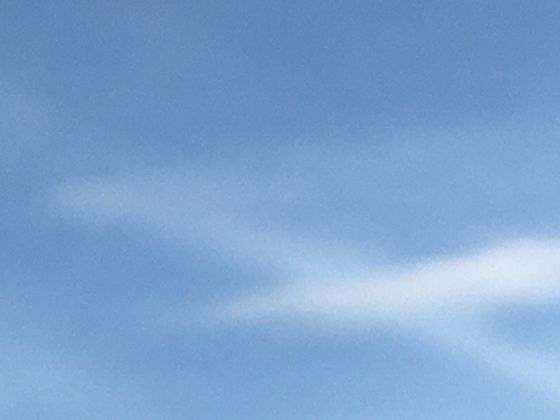 田螺螺旋外壳的数学之美：黄金分割比例在螺壳生长中的体现