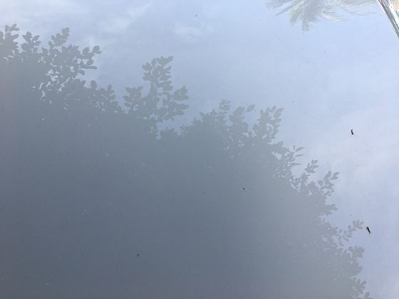 沙尘暴的起沙机制：地表覆盖物如何影响沙粒启动临界风速