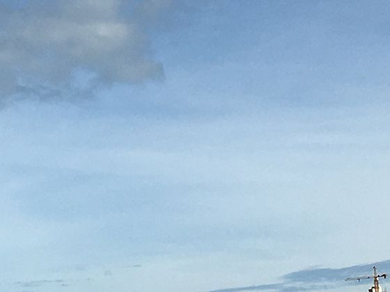 古画中的常客：丹顶鹤如何成为文人画的经典题材与意象。