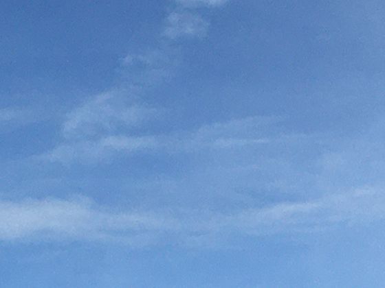 秋冬季节的暖心选择：分享南瓜的储存方法与跨越中西的特色食谱