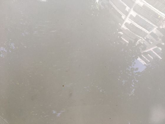 纽约《自由女神像》：这座铜制雕塑如何成为美国自由与民主的象征符号