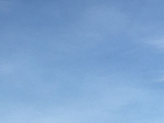 民俗收藏中的“百菜图”：传统图案如何象征丰收与生活富足？