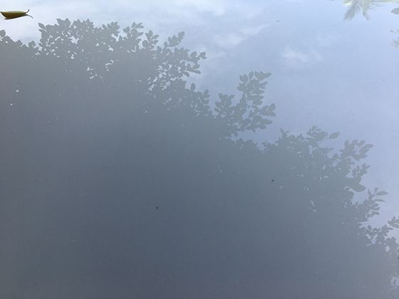 传统民俗中的风崇拜：风伯剪纸与北欧风符的跨文化对比