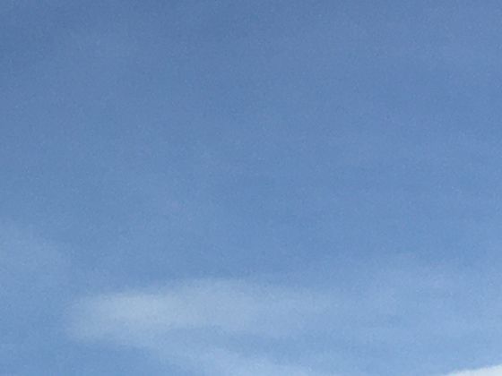 两栖动物卵的演化：从水生动物的胶质卵到陆生卵的适应