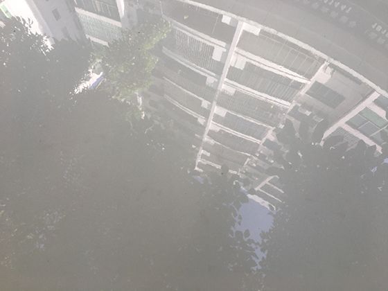 从“寒岁”到“腊冬”：解锁冬季传统称谓里藏着的民俗小知识